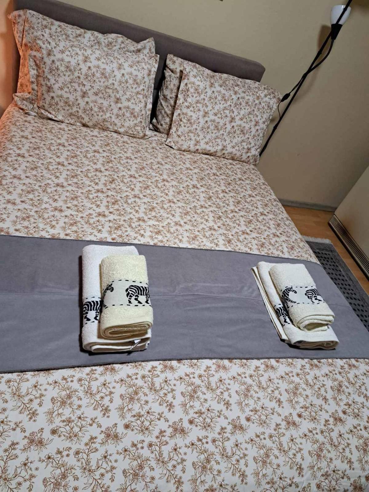 Apartman Ana Λέσκοβατς Εξωτερικό φωτογραφία